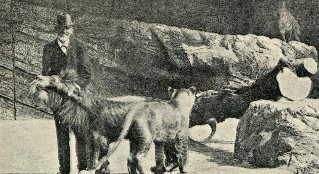 Idomítási módszerei is forradalmiak voltak a modern állatkert megálmodójának