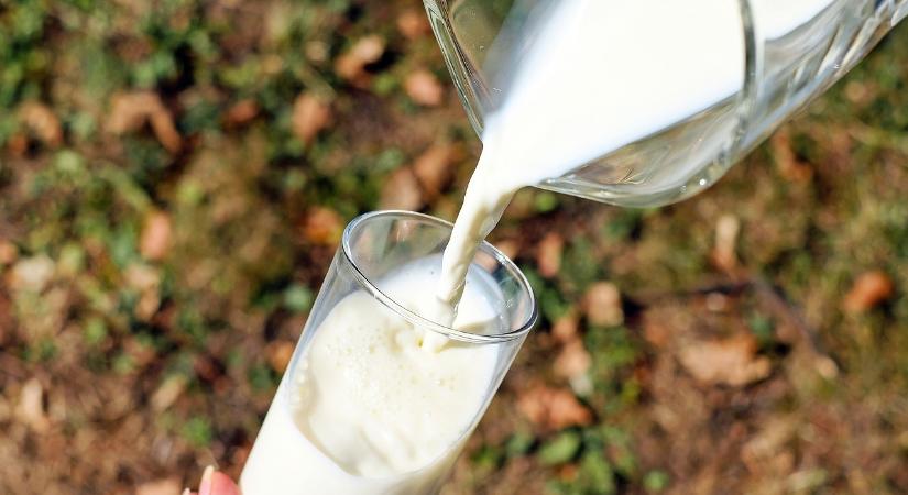 Gyanúsan kevés tejet vásárolnak a multik a hazai termelőktől