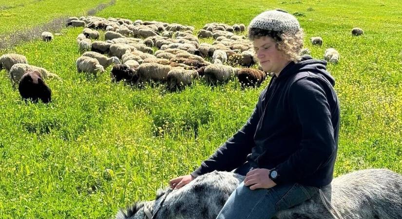 Arabok gyilkolták meg a nyáját békésen legeltető 14 éves zsidó pásztorfiút