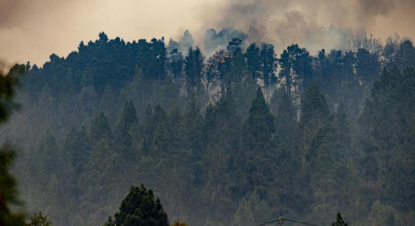 Pusztító erdőtűz Spanyolorszában: több tűzoltó is megsérült