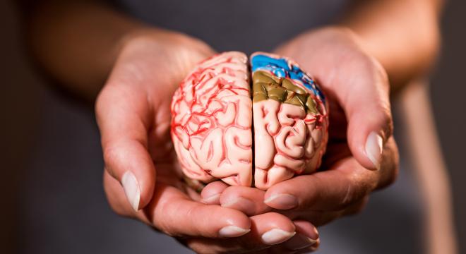 Mit tehetünk az agyunk egészségéért?