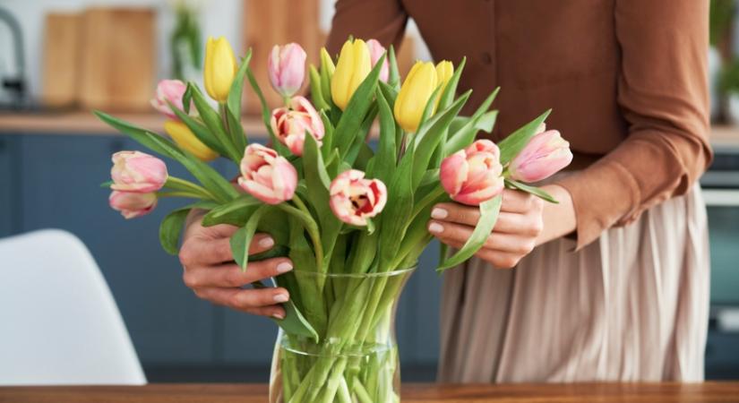Ezzel a trükkel dupla annyi ideig maradnak frissek a tulipánok