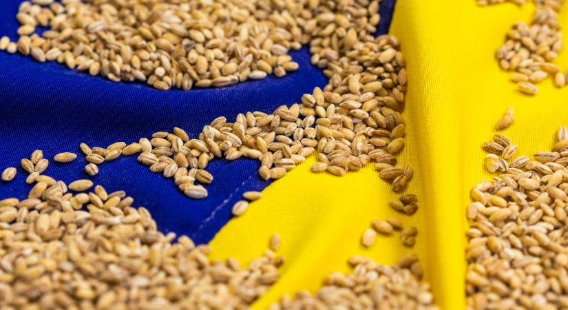 Most már biztos: kevesebb ukrán gabona lesz idén