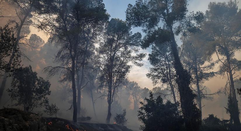 Az idei első nagyobb erdőtűz pusztít a magyarok egyik kedvenc mediterrán úti célján