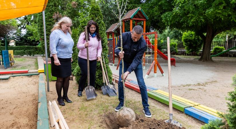 Óvodában kampányoltak a debreceni városvezetők: elültettek négy fát