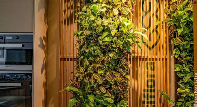 Beltéri és kültéri élő növényfal: Természetes megoldás modern terekbe, irodákba