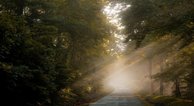 Vezetni szeretők álma – őszre felújítják a csodálatos bükki erdőkben kanyargó 25-ös utat