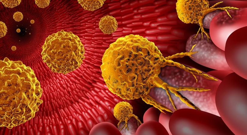 Így rejtőznek el a rákos sejtek az immunrendszerünk elől