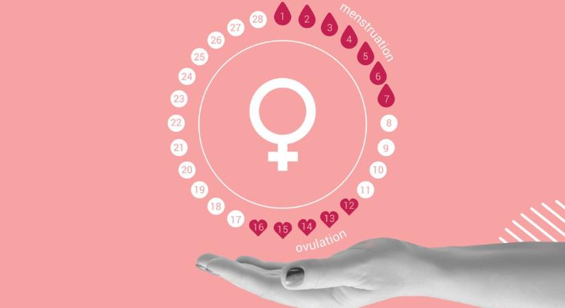 Úttörő felfedezés: a menstruációs vér sokkal értékesebb, mint hitték