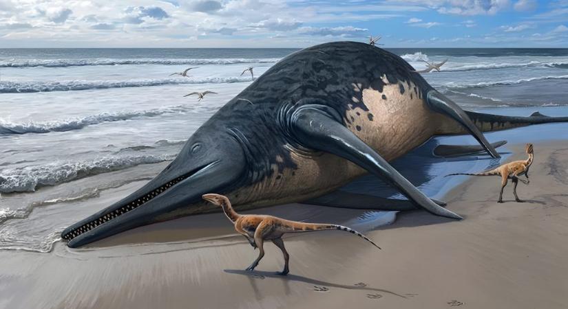 Óriási tengeri szörnyet találtak egy angliai tengerparton