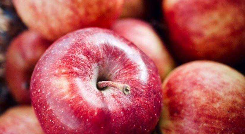 Nyugdíjasok 5 kg, családosok 10 kg, nagycsaládosok 15 kg almára jogosultak – A hálát a fülke magányában kéri a Fidesz kifejezni?