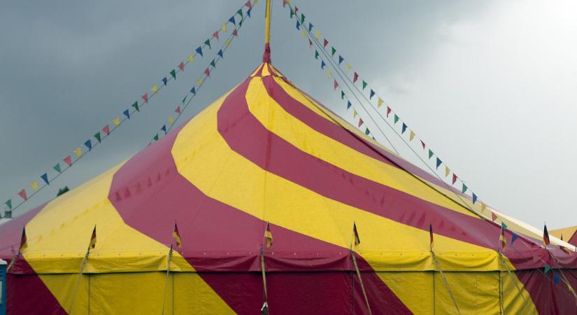 Kis híján tragédia történt: brutális baleset sokkolta a közönséget a vidéki cirkuszban