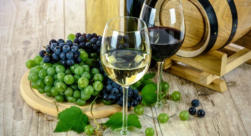 A pannonhalmi borvidék borait értékelték