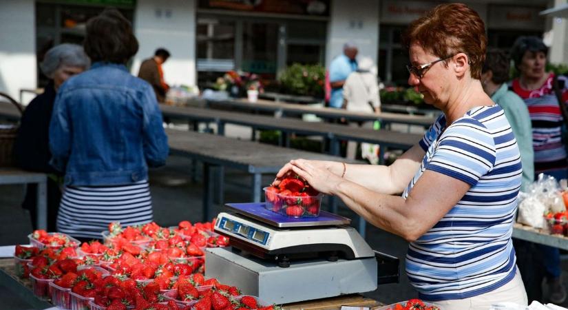 A zöldség- és gyümölcskereskedőket ellenőrzik