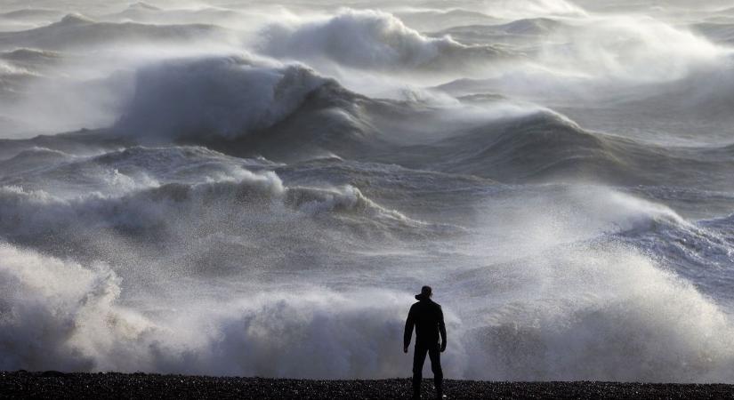 Hatalmas tengeri szörny vetődött partra Angliában