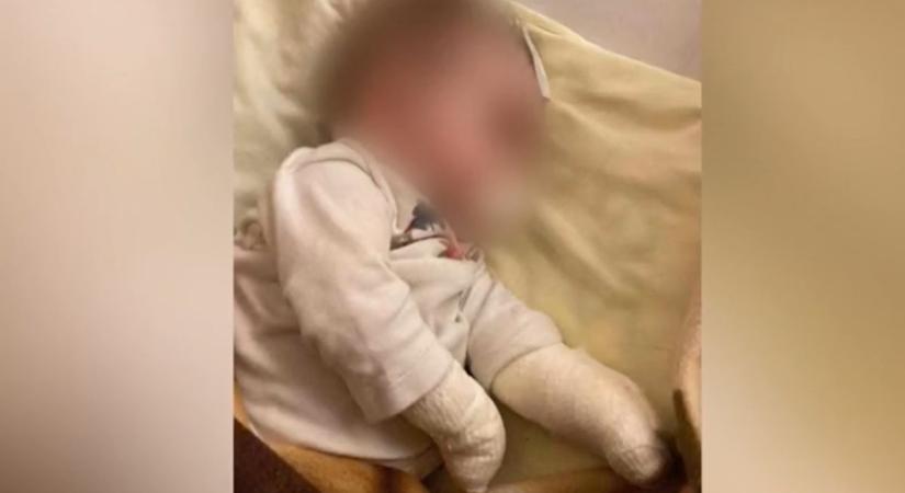 Megtörten nyilatkoztak a szülők: patkány harapta össze kiságyában a csecsemőt Pest vármegyében