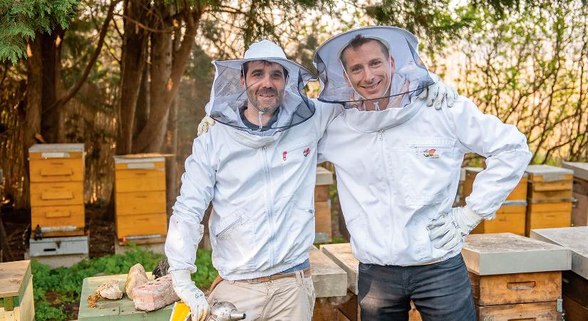 Védjük meg a méheket! – Egy nap a kaptárak között