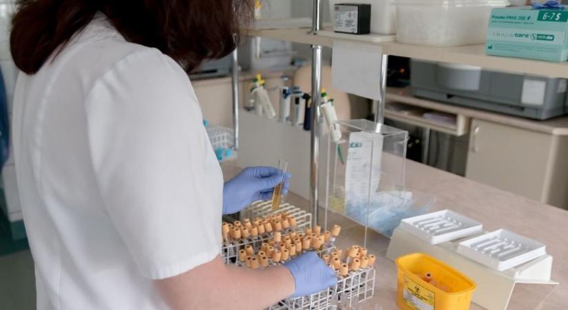 Csernyivci megyében kitört a szamárköhögés-járvány