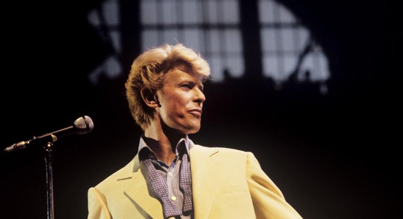 Az új David Bowie-remix tele van a természet hangjaival, és a “nature” jogdíjat is kap utána