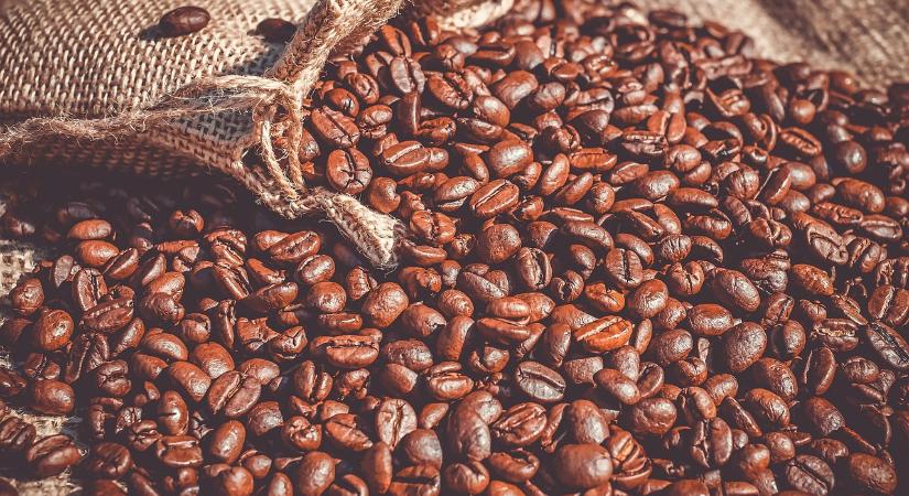 Adattudományi módszerekkel és az AI segítségével azonosít a Nestlé a „klímarezisztens kávécserjéket”