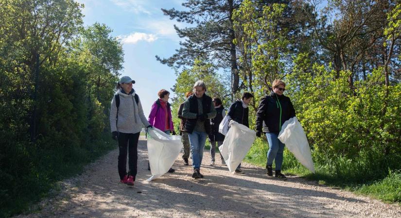Erdőt takarítottak a Veszprém Vármegyei Önkormányzat munkatársai (képgaléria)