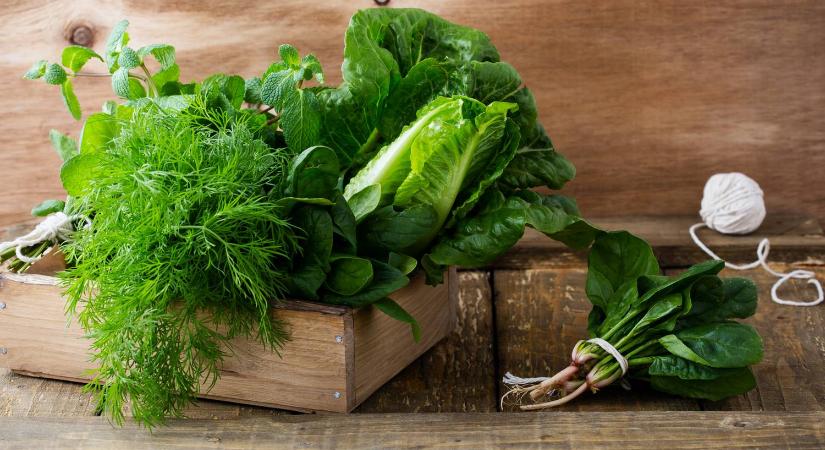 Zöld leveles zöldségek: a szuperételek, amelyek harcolnak a betegségek ellen