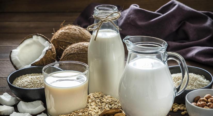 Dietetikusok figyelmeztetnek! Ezért egészségesebbek a növényi alapú tejtermékek