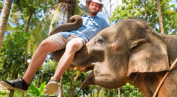 Egzotikus utazások alulnézetből: az elefántturizmus gyakran jár kegyetlenséggel