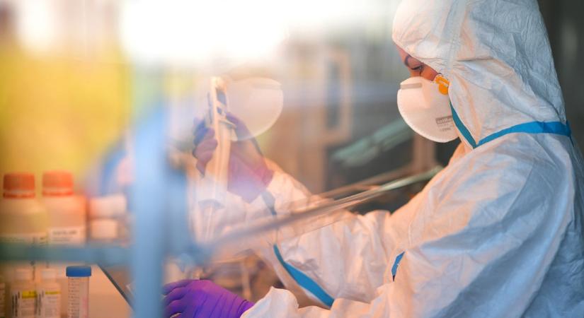 Aggódik a WHO, vészesen terjed a madárinfluenza új vírusvariánsa