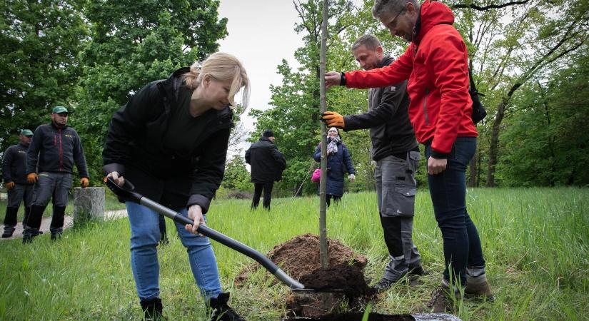 Čaputová és csapata több mint hatezer fát ültetett szombaton (FOTÓK)