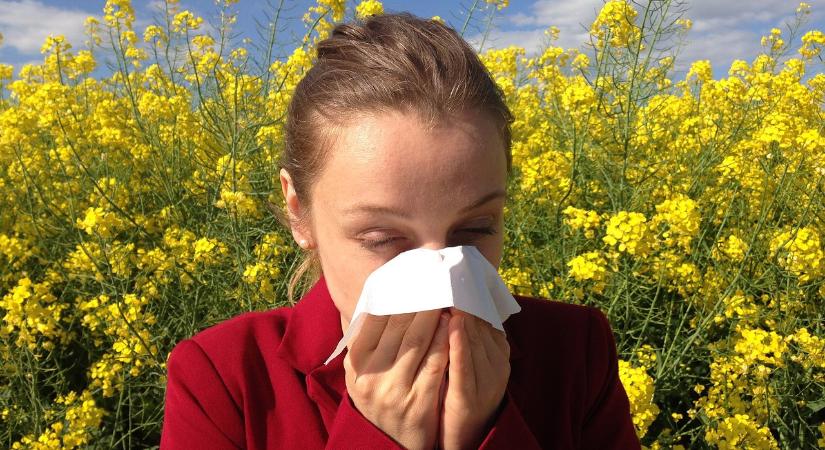 Ha tavasz, akkor allergia?