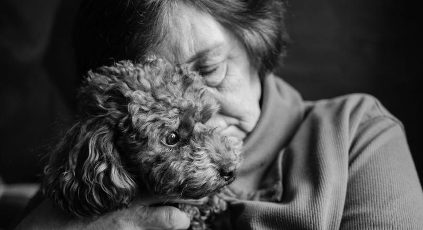 Összeszorul a szív: kétségbeesett idős néninek kérnek segítséget a tatai állatvédők
