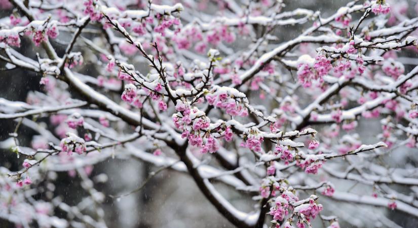 Beköszönt az áprilisi tél Magyarországon: már havazik, erős, fagyos széllökések lesznek