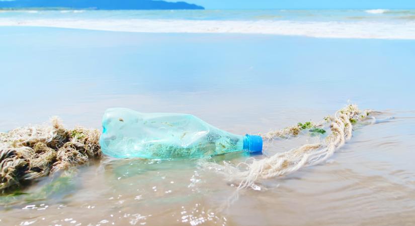 Mikroműanyagok: így kerülhetnek a vízből a szervezetünkbe