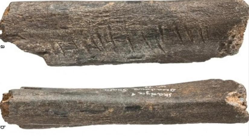 A Kárpátokban talált rovátkolt medvecsont a neandervölgyi kultúra egyik legősibb eurázsiai bizonyítéka