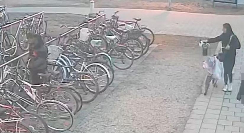 Kerékpárokat loptak Nyíregyházán! Felismeri őket?