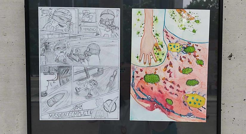 Így harcol az immunrendszerünk a fertőzések ellen a debreceni diákok szerint – fotókkal