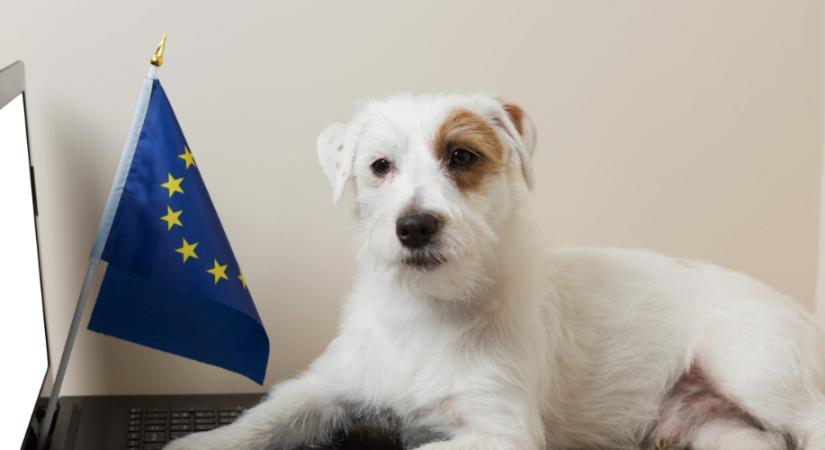 Kutyabarát munkahelyekkel növelnék az uniós intézmények népszerűségét, de 30 fajtát azonnal tiltólistára is tettek