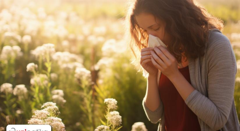 A szezonális allergia