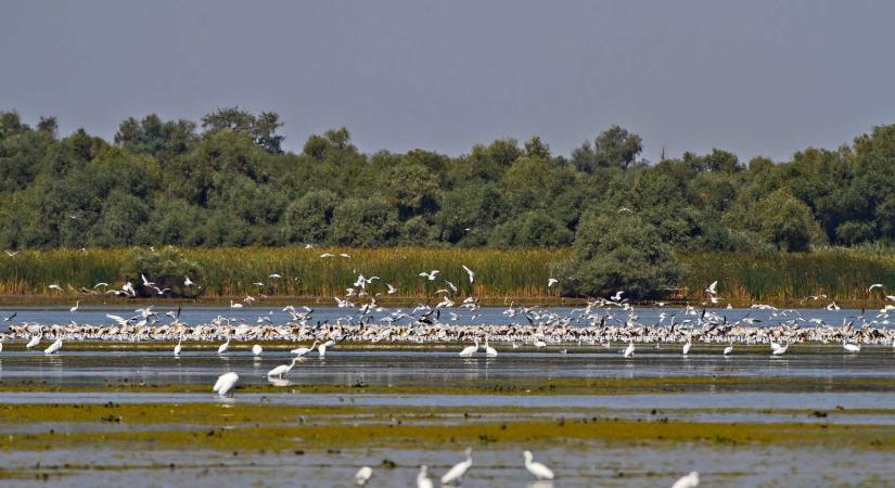 Visszavetette az ukrajnai háború a Duna-delta turizmusát