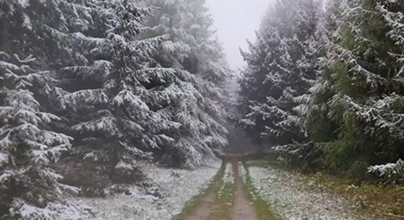Nem csalás, nem ámítás: videón mutatjuk, ahogy ismét havazik a Kőszegi-hegységben