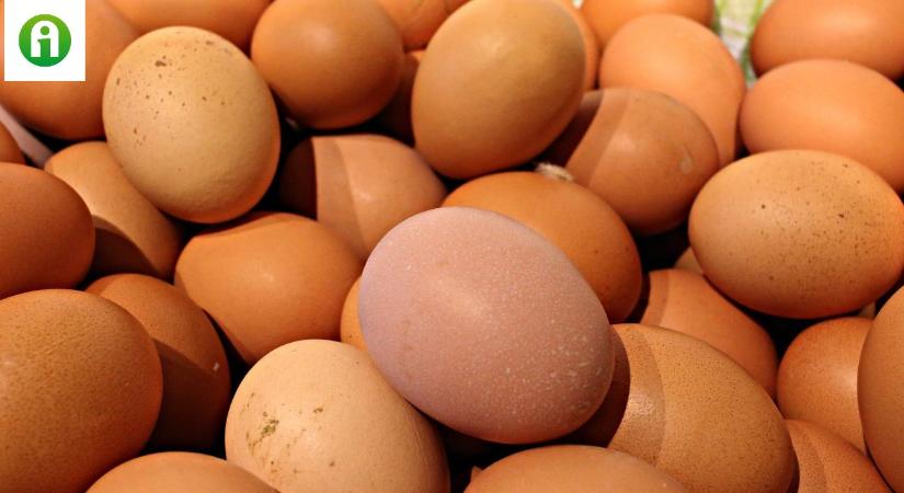 Elképesztő mélységben a tojás ára