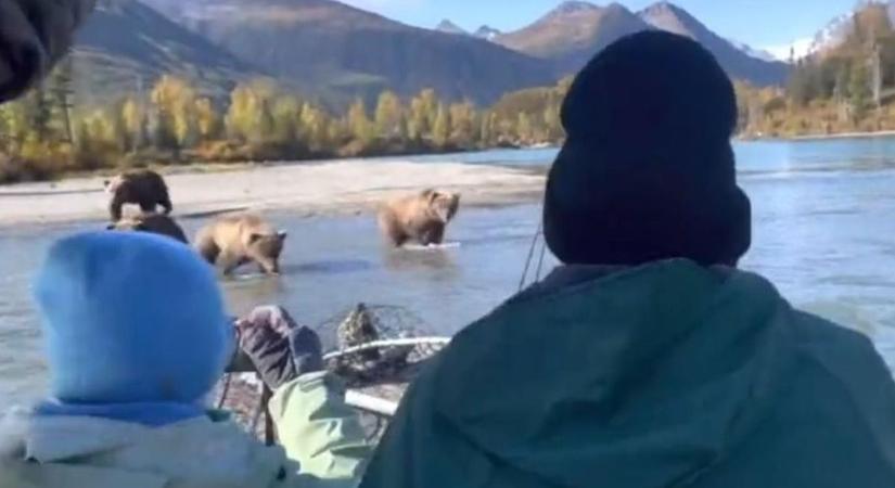 Üldözőbe vették a medvék a horgászokat - videó