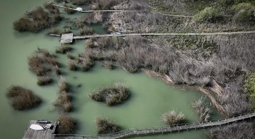 Döbbenetes képeken a balatoni nádpusztulás: tragikus állapotok uralkodnak a tó mentén