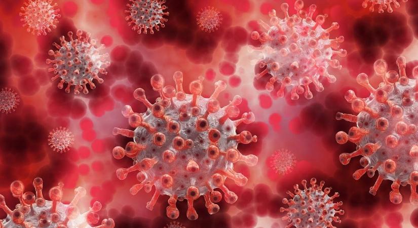 Itt a lista a vírusokról, amik miatt újabb világjárvány törhet ki