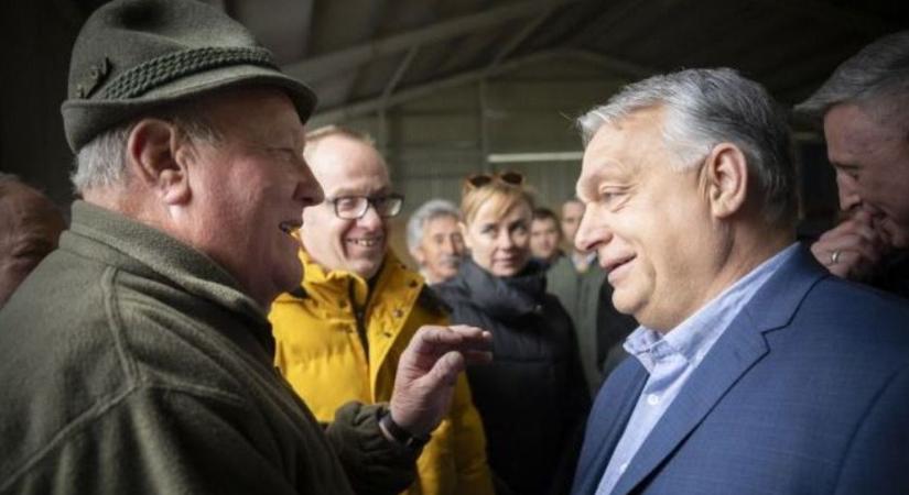Orbán Viktor: Brüsszel az ukrán gabonával a tönk szélére juttatta a magyar gazdákat
