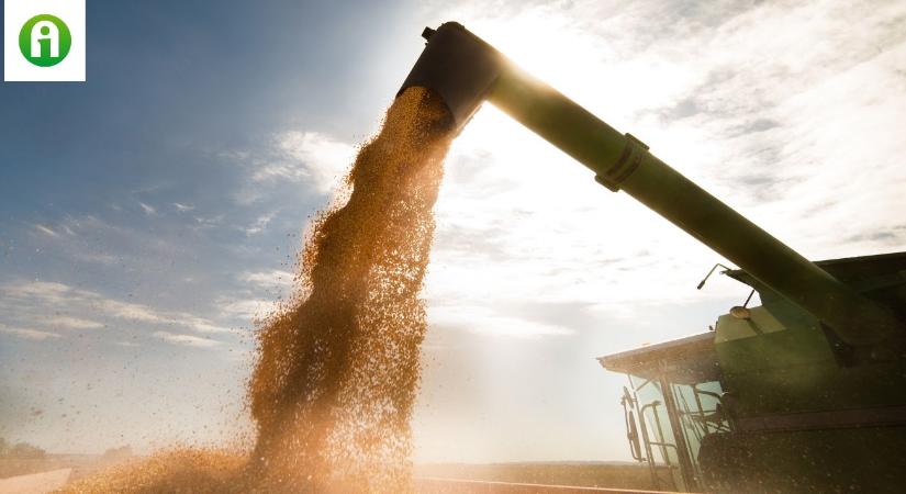 Hatalmas összeget különített el a lengyel kormány, hogy felvásárolja a gazdák gabonáját
