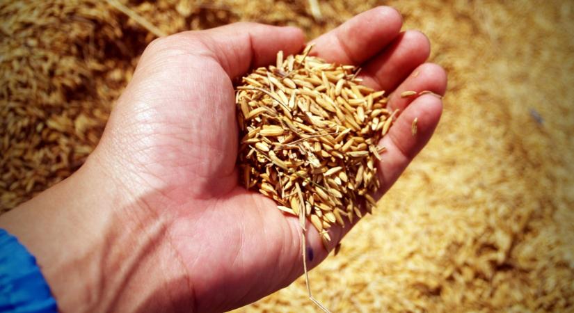 Brüsszel továbbra sem korlátozza az ukrán gabonabehozatalt