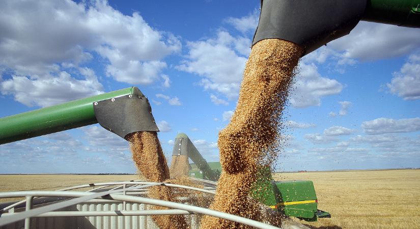 Kilőhetnek az élelmiszerárak a gabonahiány súlyosbodása miatt