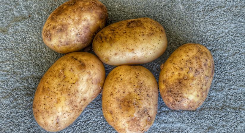 6 alig észrevehető jel, ami arról árulkodik, hogy megromlott a krumpli